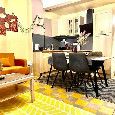 En Plein Coeur De L Elegant Appartement Perpignan